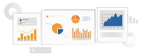 Custom Reports and Analytics